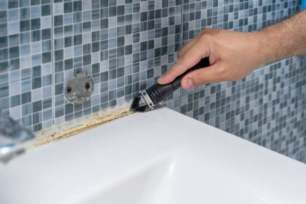 Best Health and Safety Mold Remediation in Decordova, TX